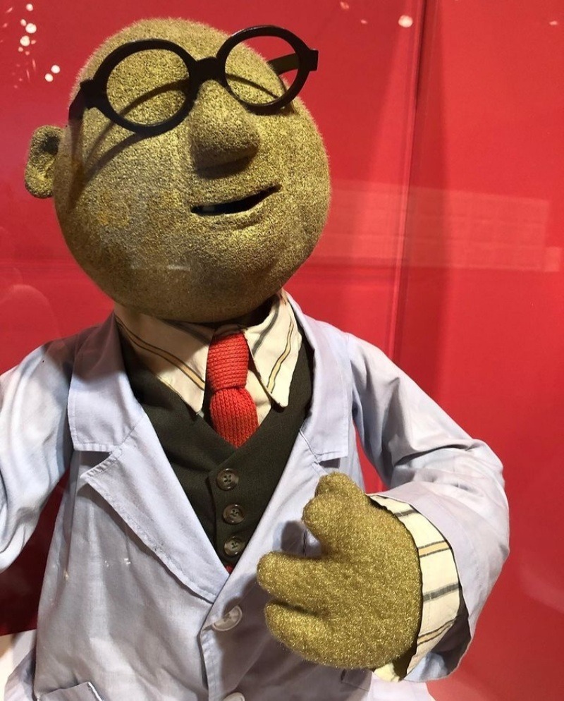 Muppet Legend Kermit The Frog To Address University Of Maryland Graduates Muppet Legend Kermit The Frog To Address University Of Maryland Graduates