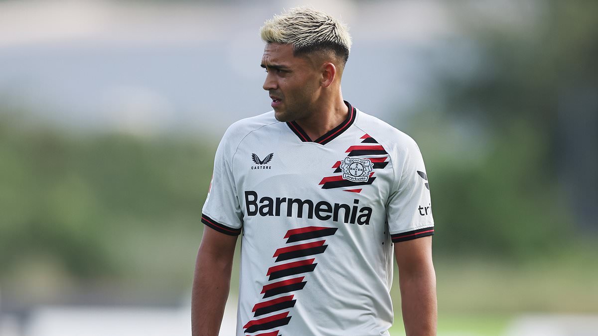 Nadiem Amiri: Mainz Star And Germany International Nadiem Amiri: Mainz Star And Germany International