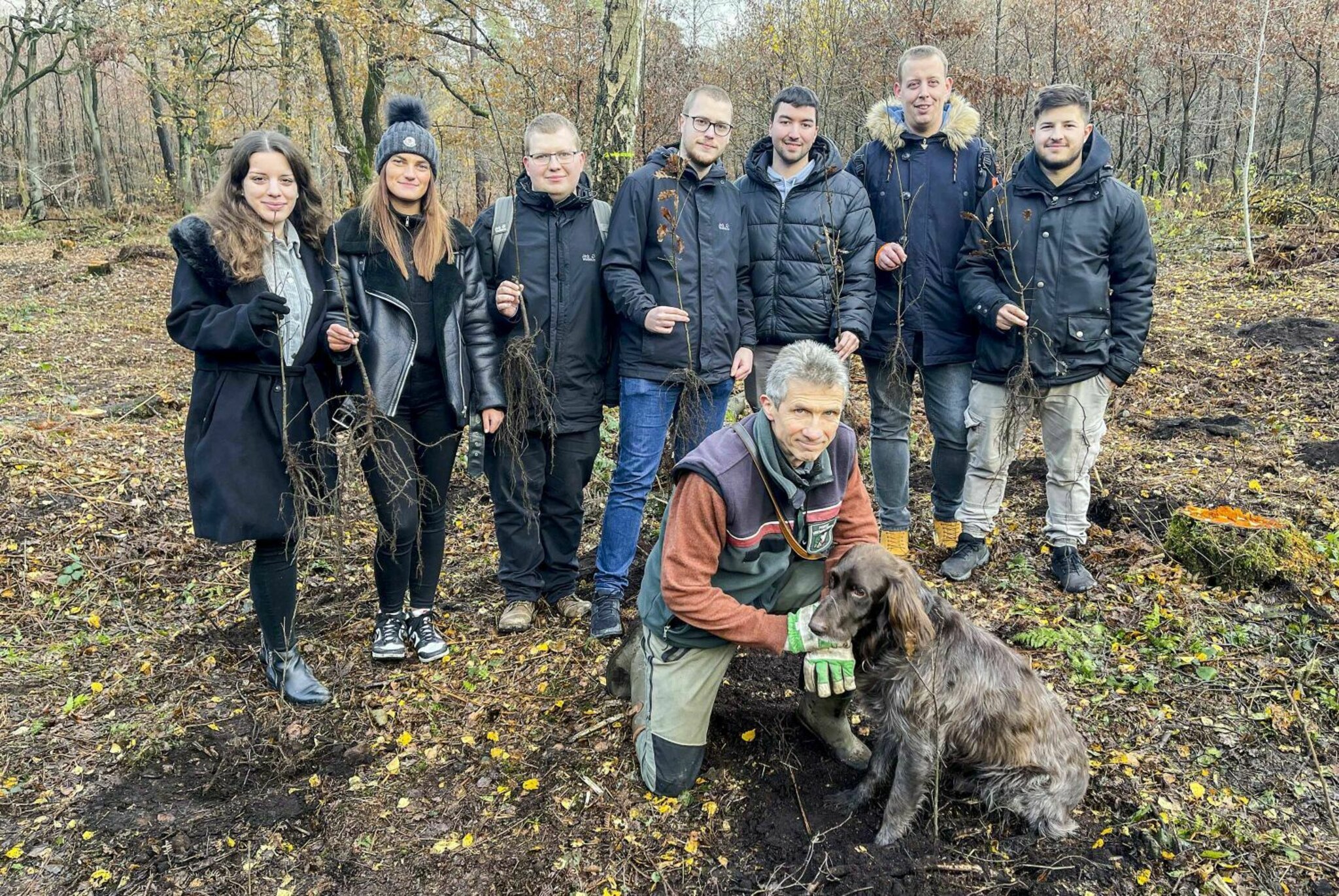 Nationalpark Sächsische Schweiz: Umfangreiche Baumpflanzaktion Mit 190.000 Bäumen Nationalpark Sächsische Schweiz: Umfangreiche Baumpflanzaktion Mit 190.000 Bäumen