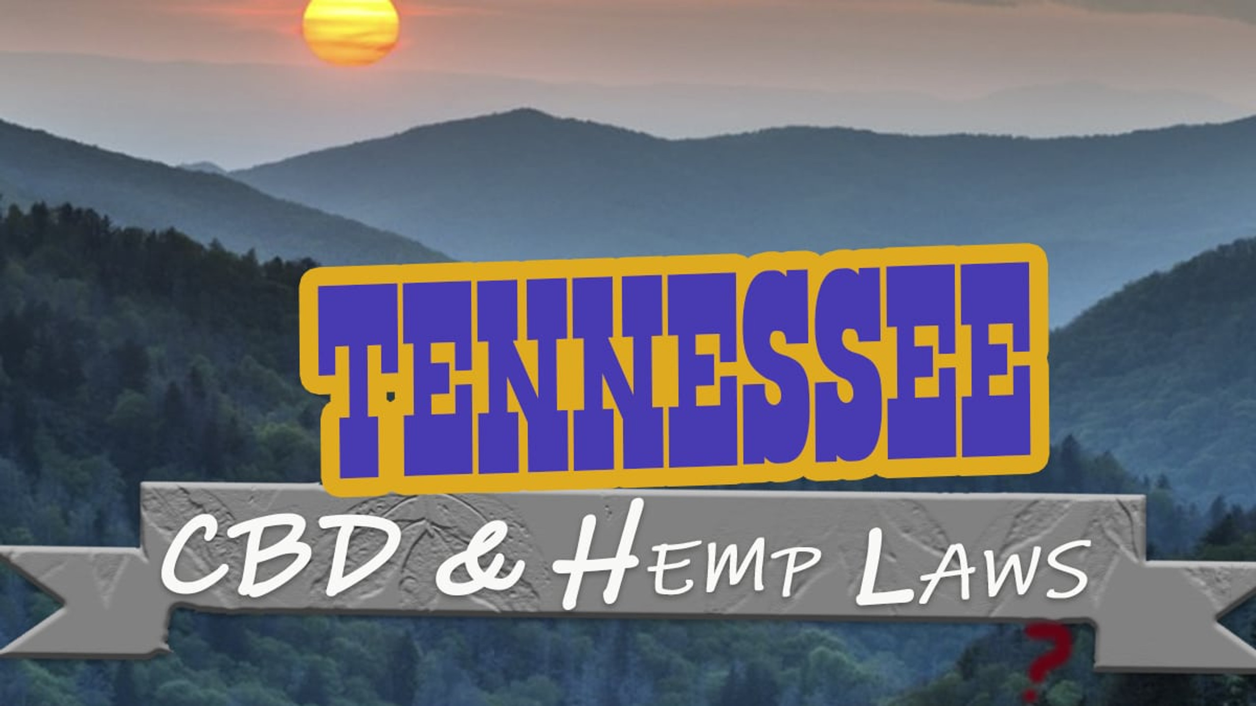 Navigating Georgia's Hemp Laws: Current Regulations And Available Products Navigating Georgia's Hemp Laws: Current Regulations And Available Products