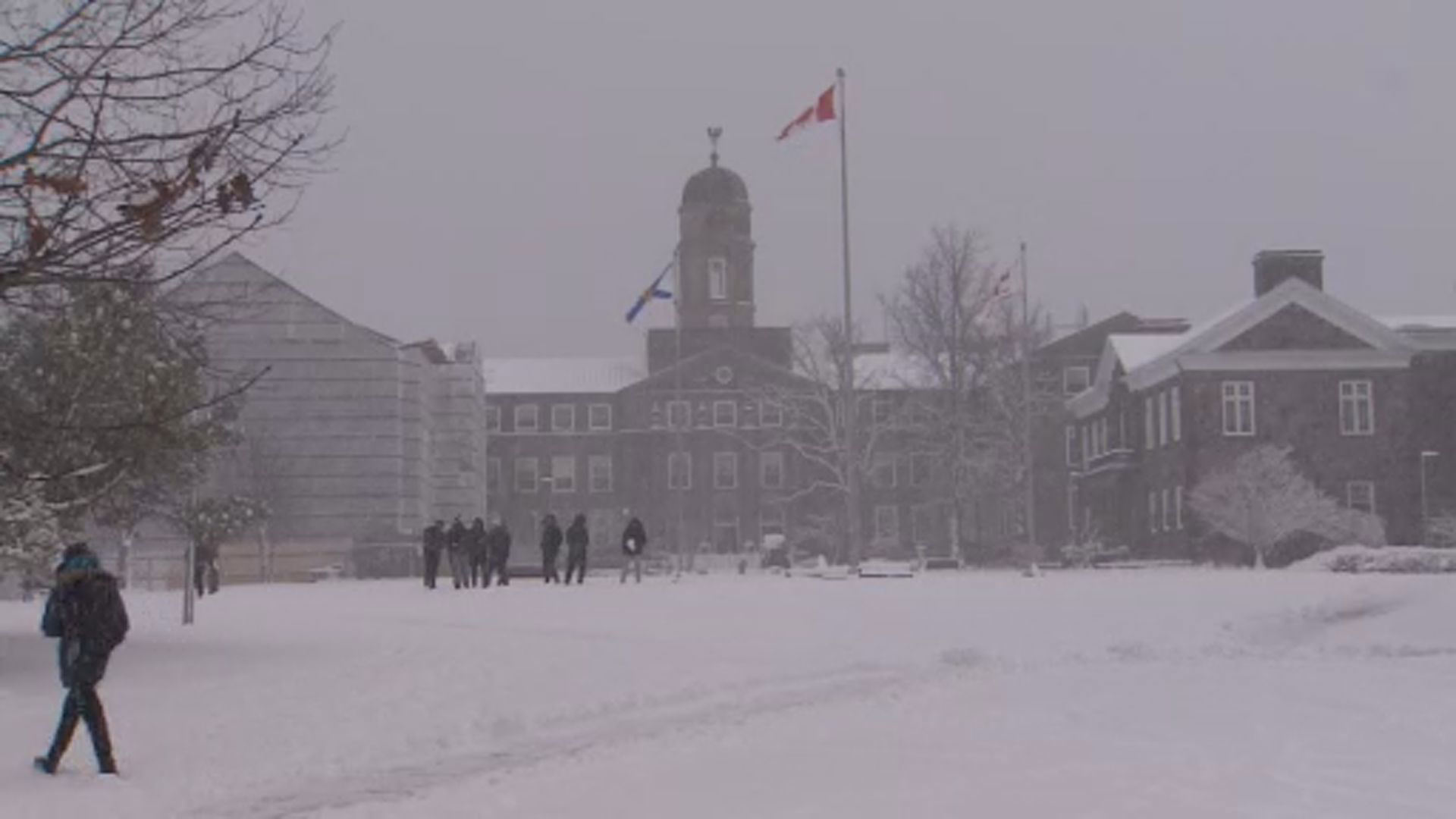 Navigating School Delays: A Parent's Guide To Winter Weather Advisories Navigating School Delays: A Parent's Guide To Winter Weather Advisories