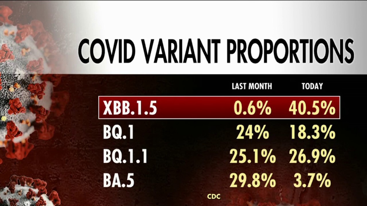 New COVID Variant LP.8.1: What You Need To Know New COVID Variant LP.8.1: What You Need To Know