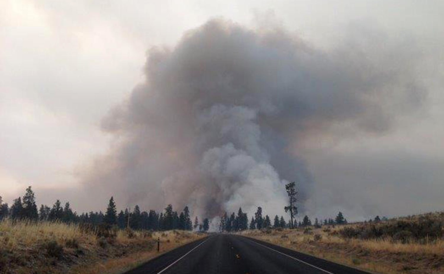 Newfoundland Wildfires Force Evacuations, Leave Homes In Ashes Newfoundland Wildfires Force Evacuations, Leave Homes In Ashes