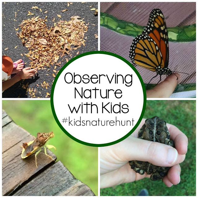 Night Hunter Strategies: Effective Techniques For Observing Nocturnal Animals Night Hunter Strategies: Effective Techniques For Observing Nocturnal Animals