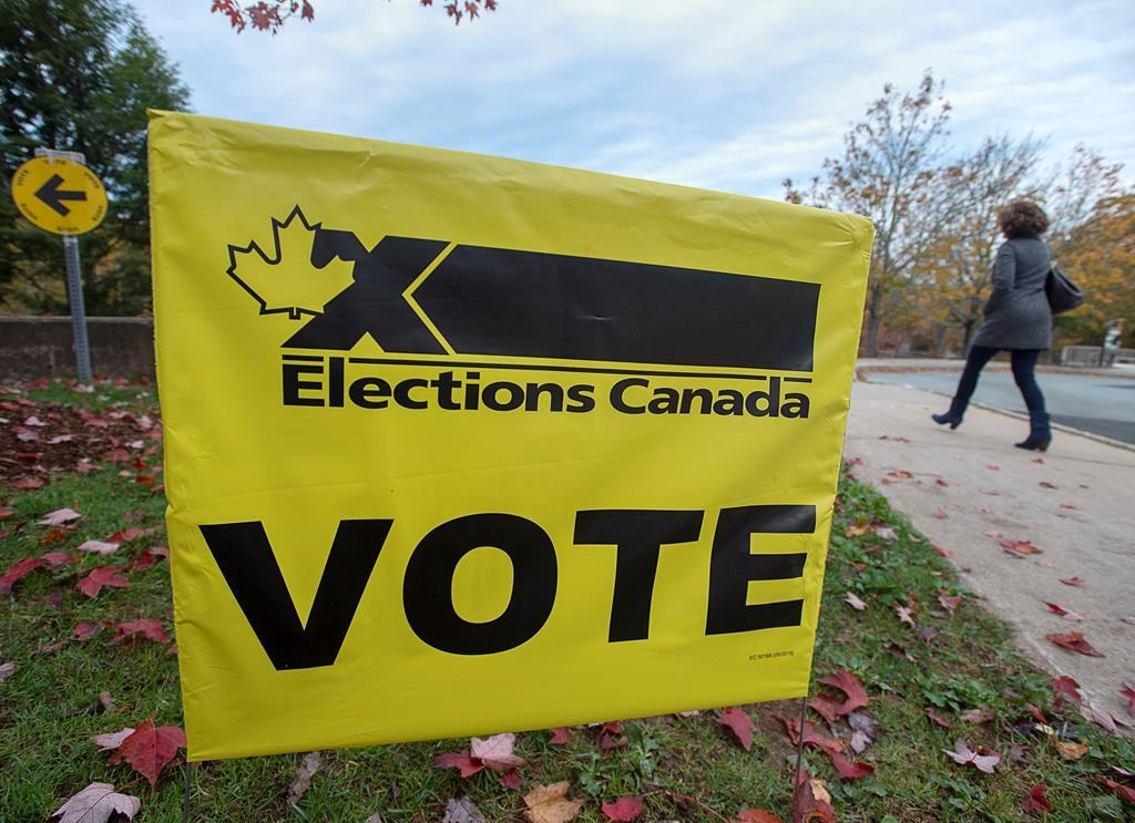 NL Federal Election: Who To Vote For? A Voter's Guide NL Federal Election: Who To Vote For? A Voter's Guide