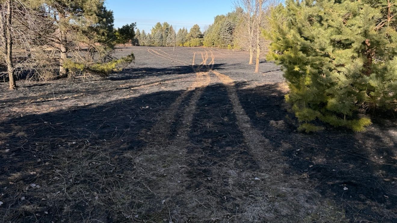 Officials Warn Of Heightened Wildfire Danger In Saskatchewan This Summer Officials Warn Of Heightened Wildfire Danger In Saskatchewan This Summer