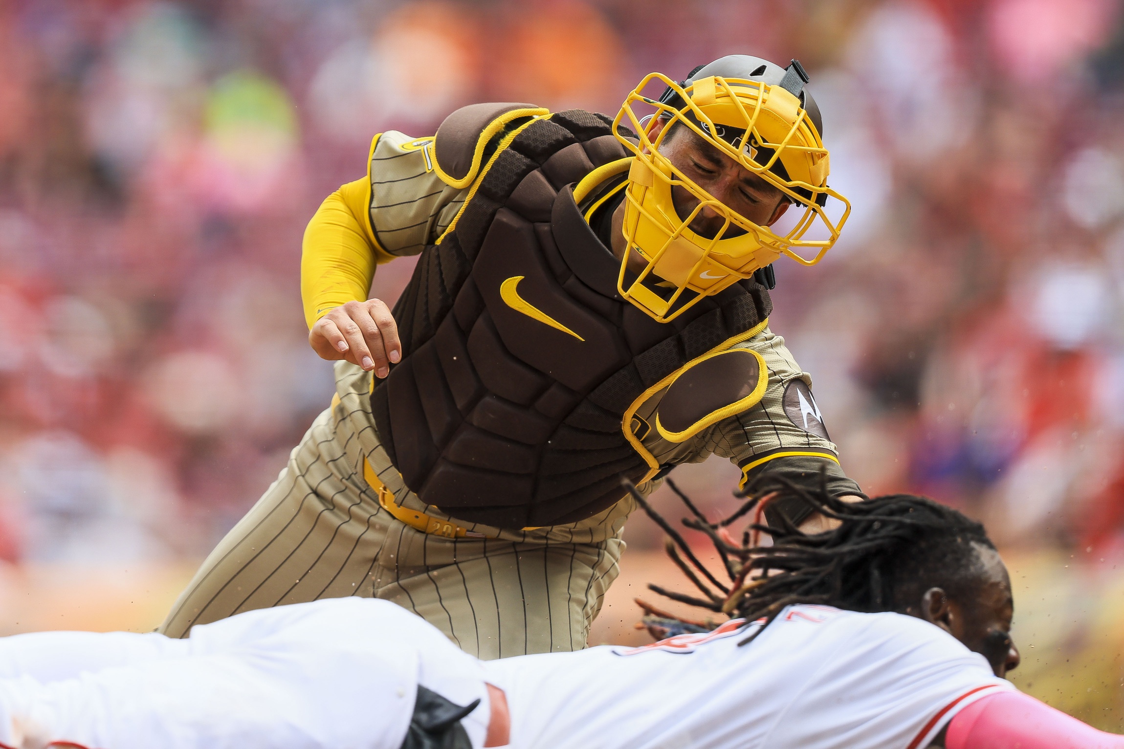 Padres Vs. Yankees Series Prediction: Will San Diego Achieve Seven Consecutive Wins? Padres Vs. Yankees Series Prediction: Will San Diego Achieve Seven Consecutive Wins?