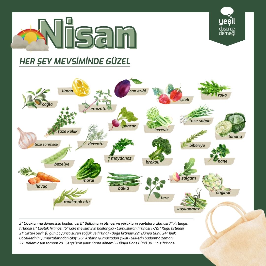 Parasal Şansın Zirvesinde: Nisan Ayında Zenginleşen Burçlar Parasal Şansın Zirvesinde: Nisan Ayında Zenginleşen Burçlar