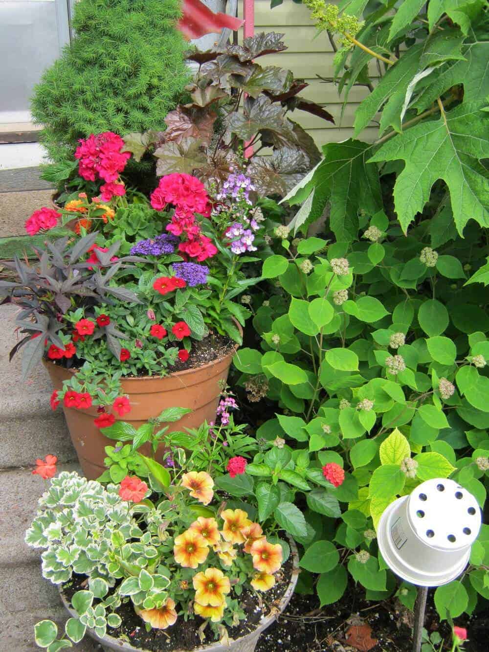 Perennials Vs. Annuals: Making The Best Choice For Your Flowerbeds Perennials Vs. Annuals: Making The Best Choice For Your Flowerbeds