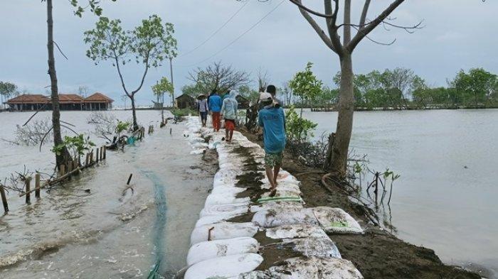 Perlindungan Warga Pesisir: Peran Giant Sea Wall Dalam Mengurangi Risiko Bencana Perlindungan Warga Pesisir: Peran Giant Sea Wall Dalam Mengurangi Risiko Bencana