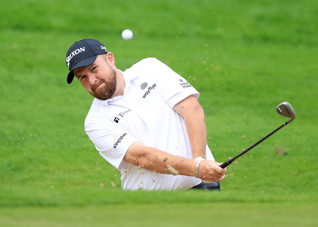 Planning Your Meeting With Shane Lowry Planning Your Meeting With Shane Lowry