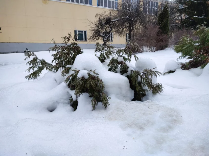 Погода В Ярославской Области: Снегопады И Их Последствия