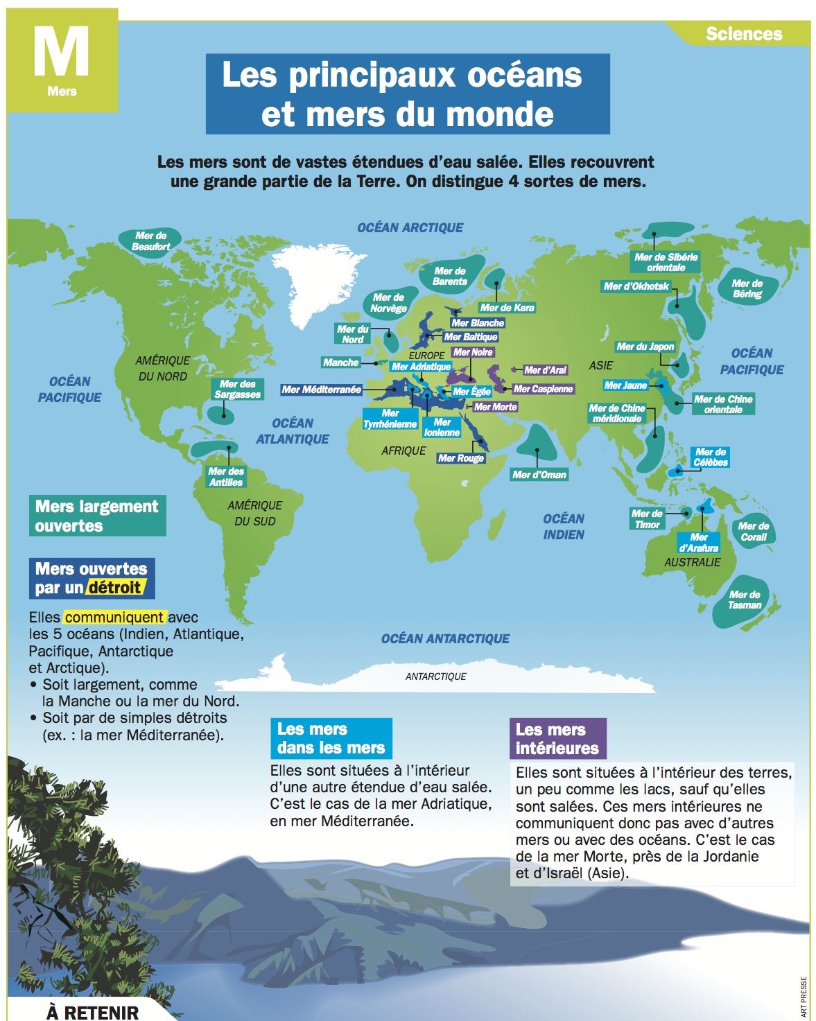 Port-Saint-Louis-du-Rhône : Le Festival De La Camargue Célèbre Les Mers Et Les Océans Port-Saint-Louis-du-Rhône : Le Festival De La Camargue Célèbre Les Mers Et Les Océans