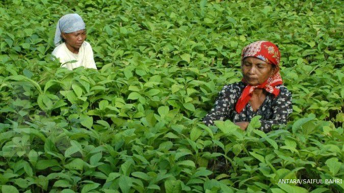 Prakiraan Cuaca Jawa Timur 6 Mei: Hujan Di Beberapa Daerah Prakiraan Cuaca Jawa Timur 6 Mei: Hujan Di Beberapa Daerah