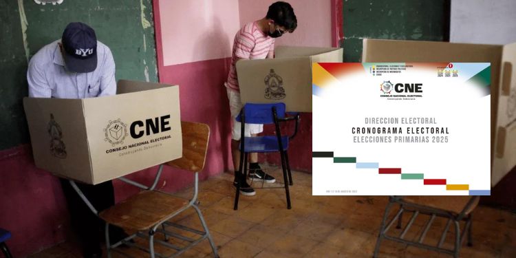 Primarias 2025: El CNE Recibe 18 Recursos De Nulidad Primarias 2025: El CNE Recibe 18 Recursos De Nulidad