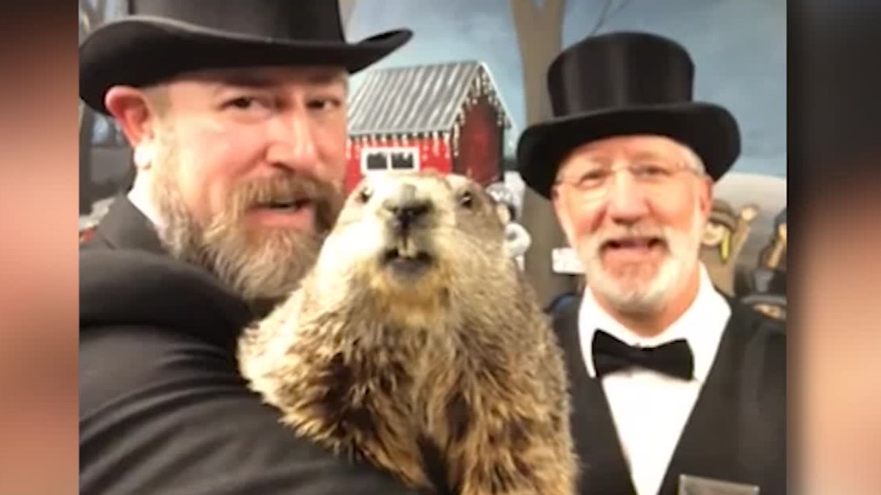 Punxsutawney Phil And Family Celebrate First Birthday Punxsutawney Phil And Family Celebrate First Birthday