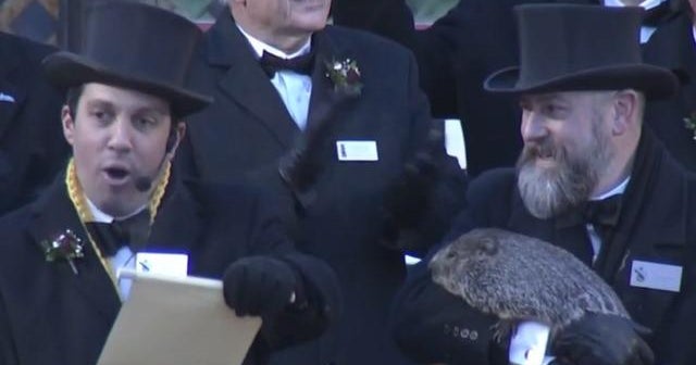 Punxsutawney Phil's Child's First Birthday Celebration Punxsutawney Phil's Child's First Birthday Celebration