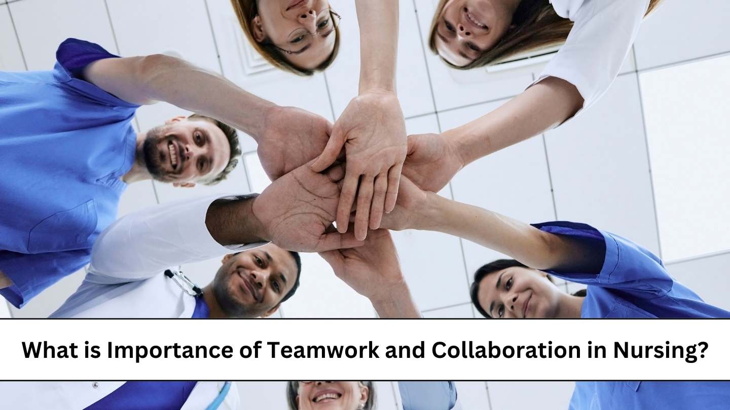 RCN And Vet Nursing Collaboration: A Plastic Glove Project Case Study RCN And Vet Nursing Collaboration: A Plastic Glove Project Case Study