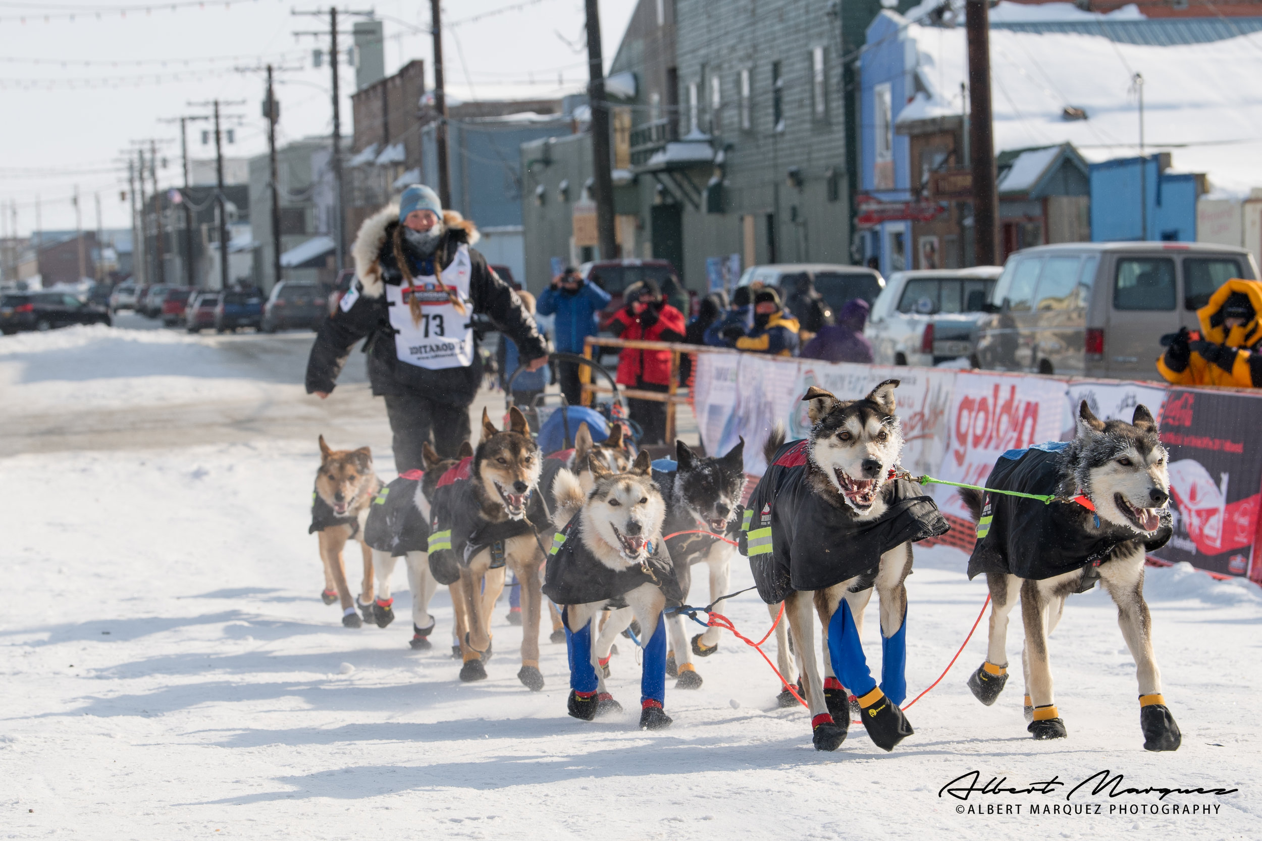 Reaching Nome: The Journeys Of 7 Rookie Iditarod Teams Reaching Nome: The Journeys Of 7 Rookie Iditarod Teams