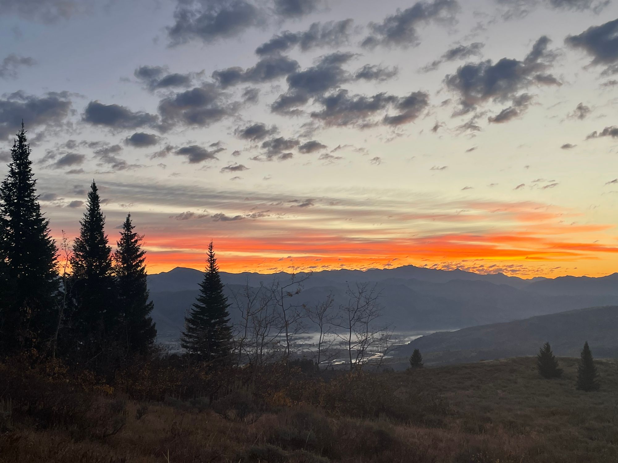 Reduced Jackson Elk Hunting Permits Following Public Input Reduced Jackson Elk Hunting Permits Following Public Input
