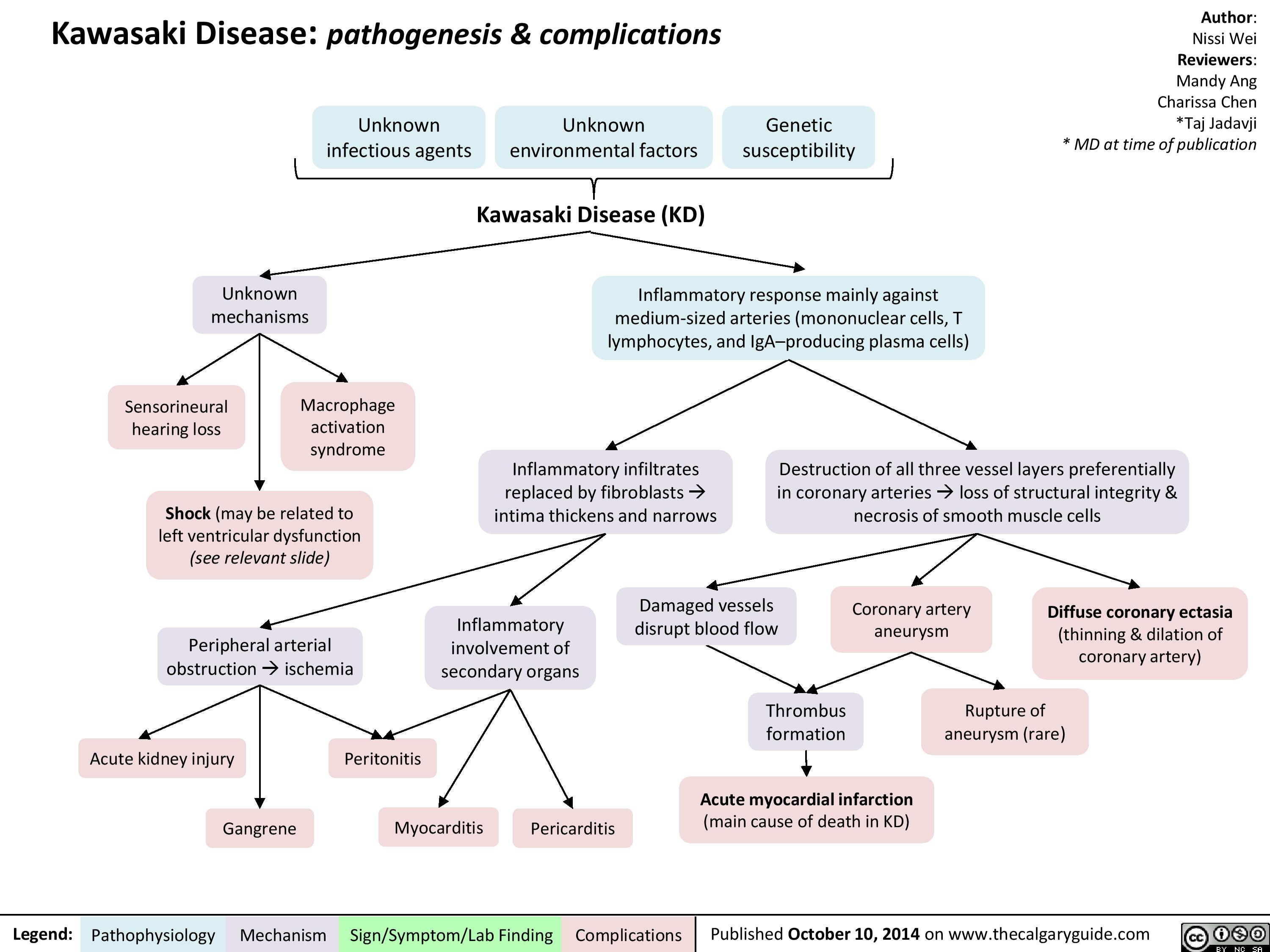 Research Links Unknown Respiratory Virus To Kawasaki Disease Development Research Links Unknown Respiratory Virus To Kawasaki Disease Development