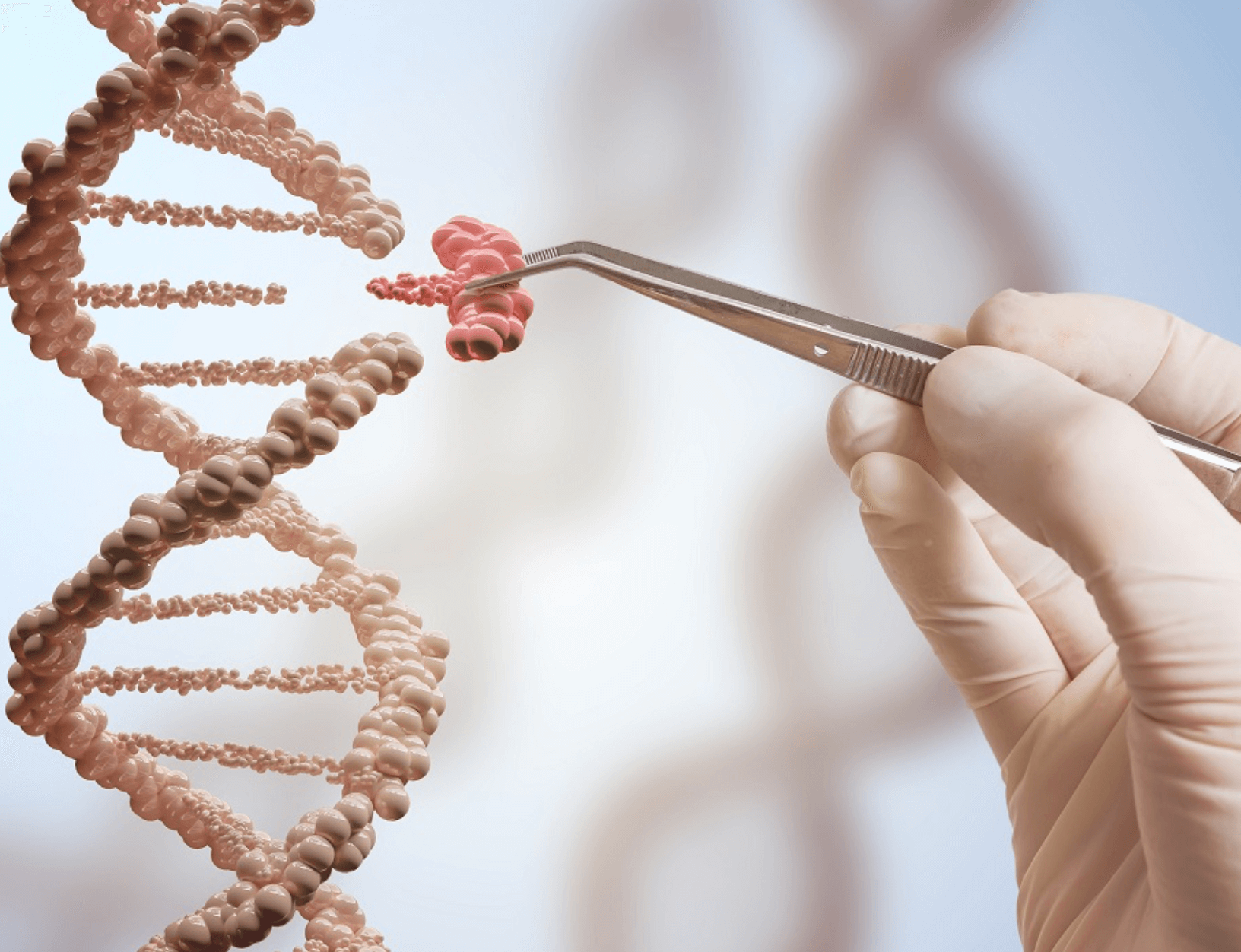 Revolutionizing Gene Repair: A Novel CRISPR Modification For Improved Accuracy Revolutionizing Gene Repair: A Novel CRISPR Modification For Improved Accuracy