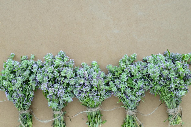 Rosemary & Thyme: Growing, Harvesting, And Using These Versatile Herbs