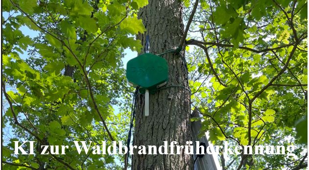 Sächsische Schweiz: Sachsenforst Testet Neue Sensoren Zur Waldbrandfrüherkennung Sächsische Schweiz: Sachsenforst Testet Neue Sensoren Zur Waldbrandfrüherkennung