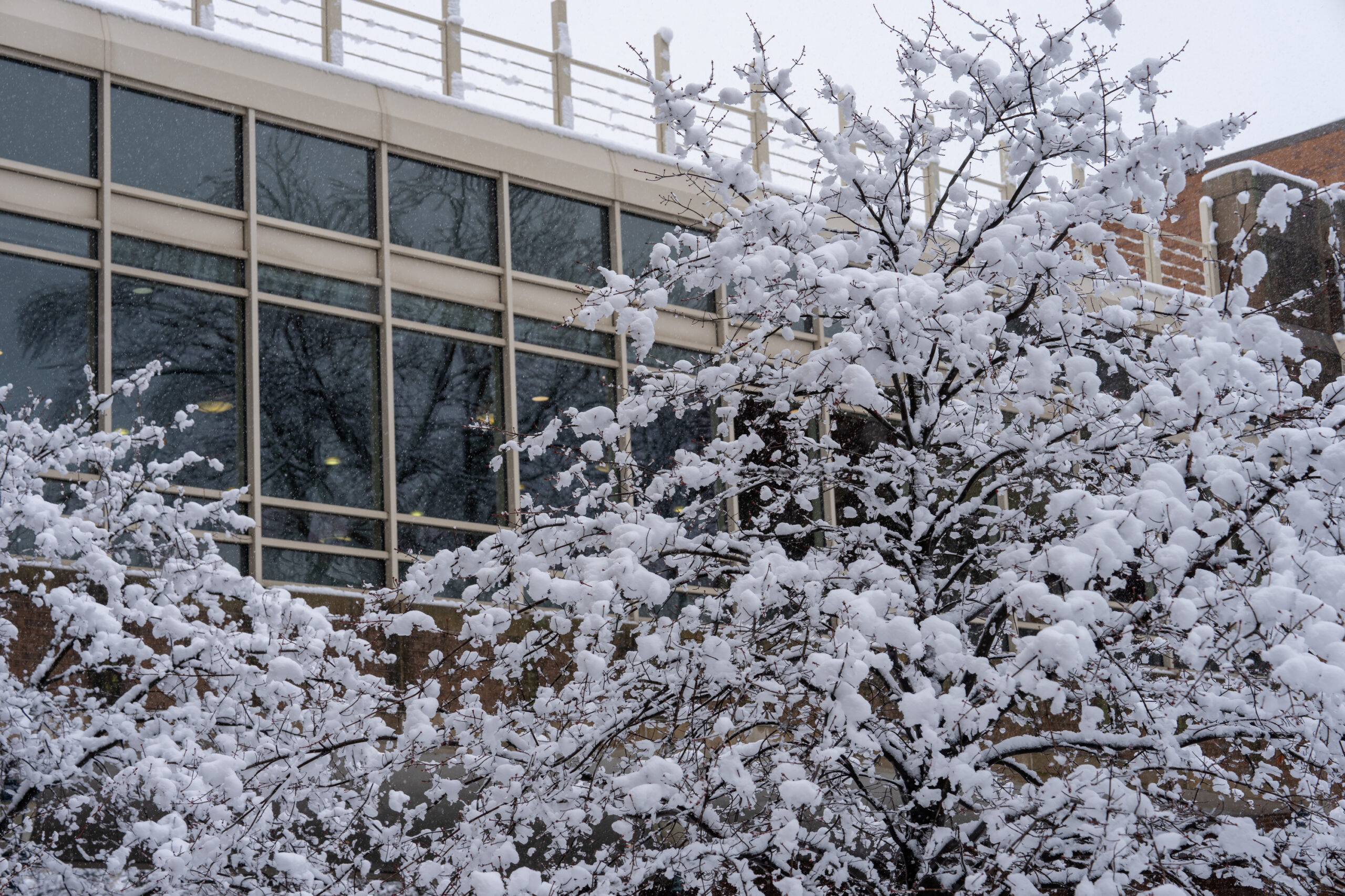 School Closures Continue: Second Day Of Winter Weather Disruptions School Closures Continue: Second Day Of Winter Weather Disruptions