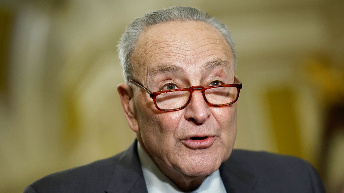 Senate Leader Schumer Defends His Position: Senate Leader Schumer Defends His Position: