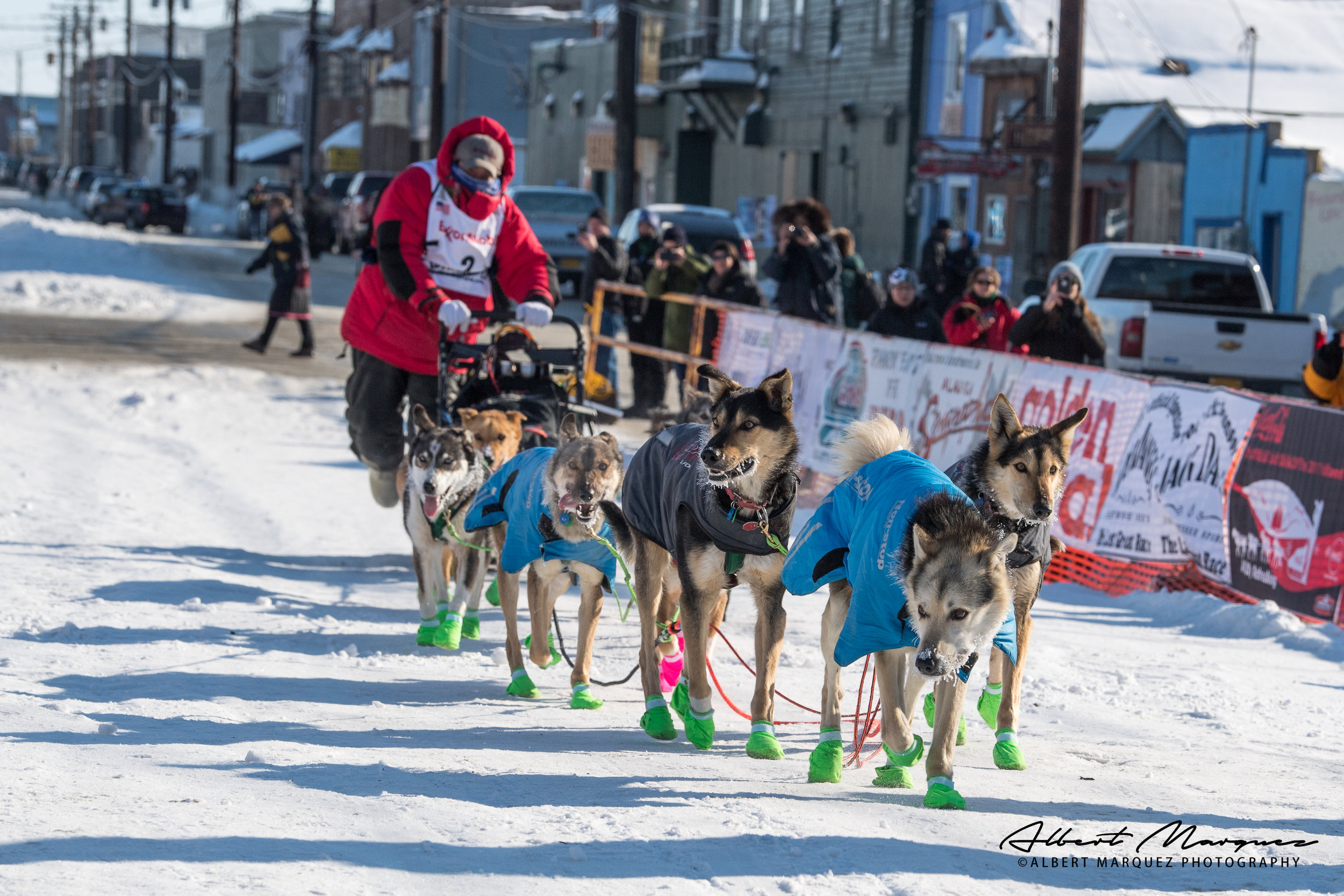Seven Iditarod Newcomers Race To Nome: Their Stories And Challenges Seven Iditarod Newcomers Race To Nome: Their Stories And Challenges