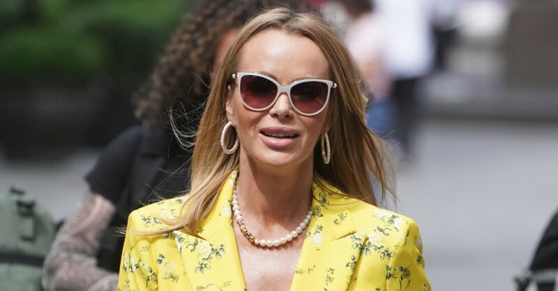 Shock And Disgust: Amanda Holden's Dog Grooming Confession On Heart Radio