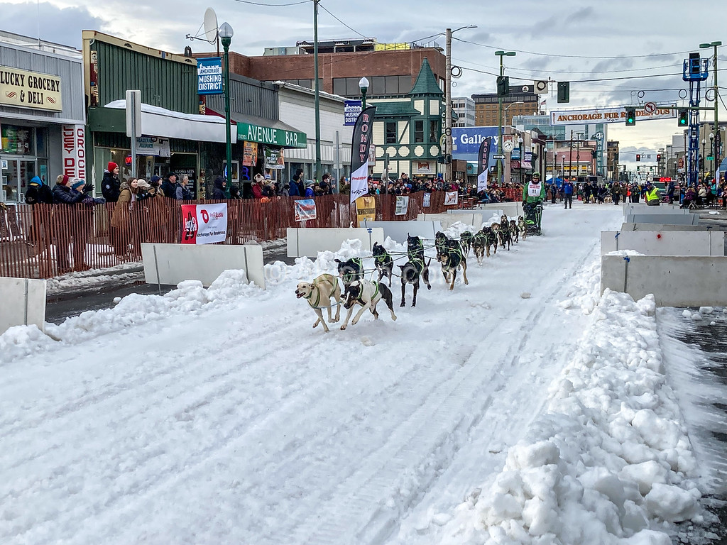 Shortened Fur Rondy Race Still Challenges Mushers And Dogs Shortened Fur Rondy Race Still Challenges Mushers And Dogs