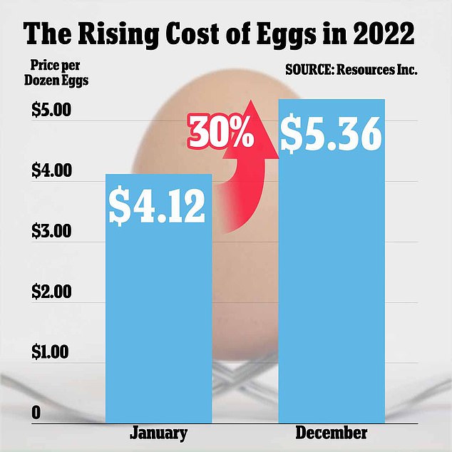 Significant Drop In US Egg Prices: Dozens Under $5 Significant Drop In US Egg Prices: Dozens Under $5