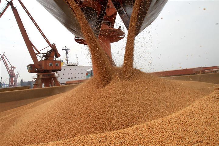 Sinograin Auctions Imported Soybeans: Relief For China's Supply Chain Sinograin Auctions Imported Soybeans: Relief For China's Supply Chain