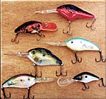 Smith Mountain Lake Bass Fishing Tournament: B&W Heavy Hitters All-Star Event - $100,000 Prize Smith Mountain Lake Bass Fishing Tournament: B&W Heavy Hitters All-Star Event - $100,000 Prize