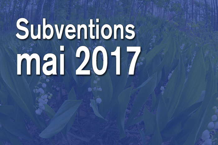 Soleil Et Succès Pour L'USMA À Migné-Auxances