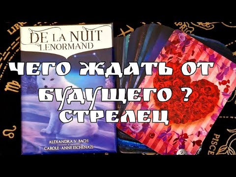 Союзники Украины И 9 Мая: Ожидаемые И Неожиданные Гости В Киеве Союзники Украины И 9 Мая: Ожидаемые И Неожиданные Гости В Киеве