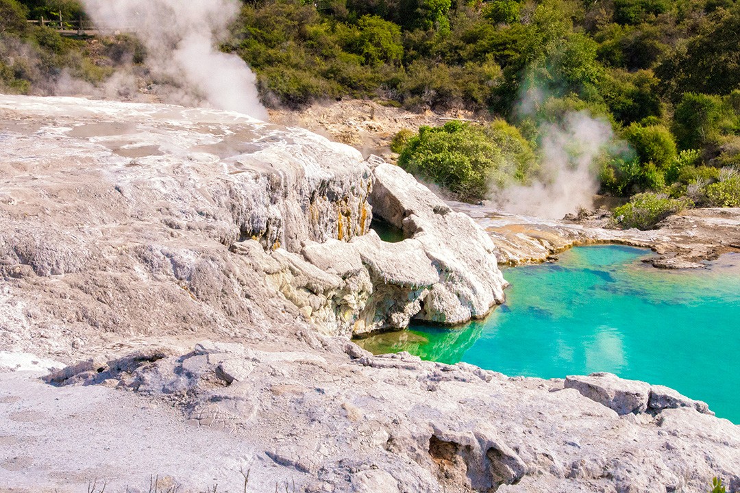 Spotlight On Rotorua: Exploring New Zealand's Cultural Heartbeat Spotlight On Rotorua: Exploring New Zealand's Cultural Heartbeat