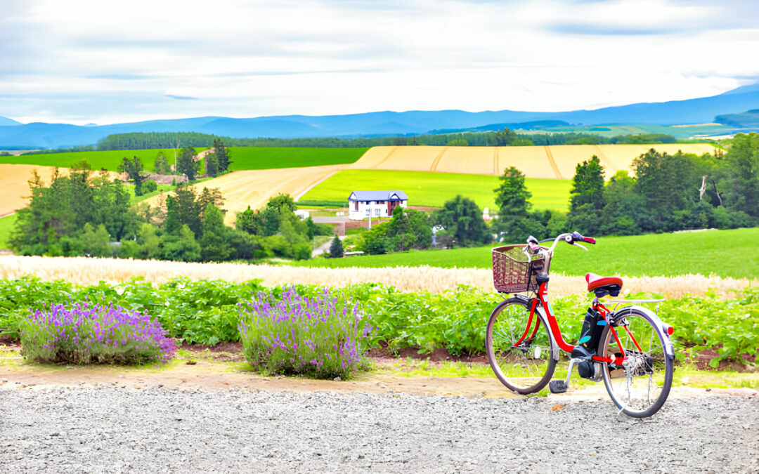Spring Hotel Sale: 30% Discount On Lavish Accommodations Spring Hotel Sale: 30% Discount On Lavish Accommodations