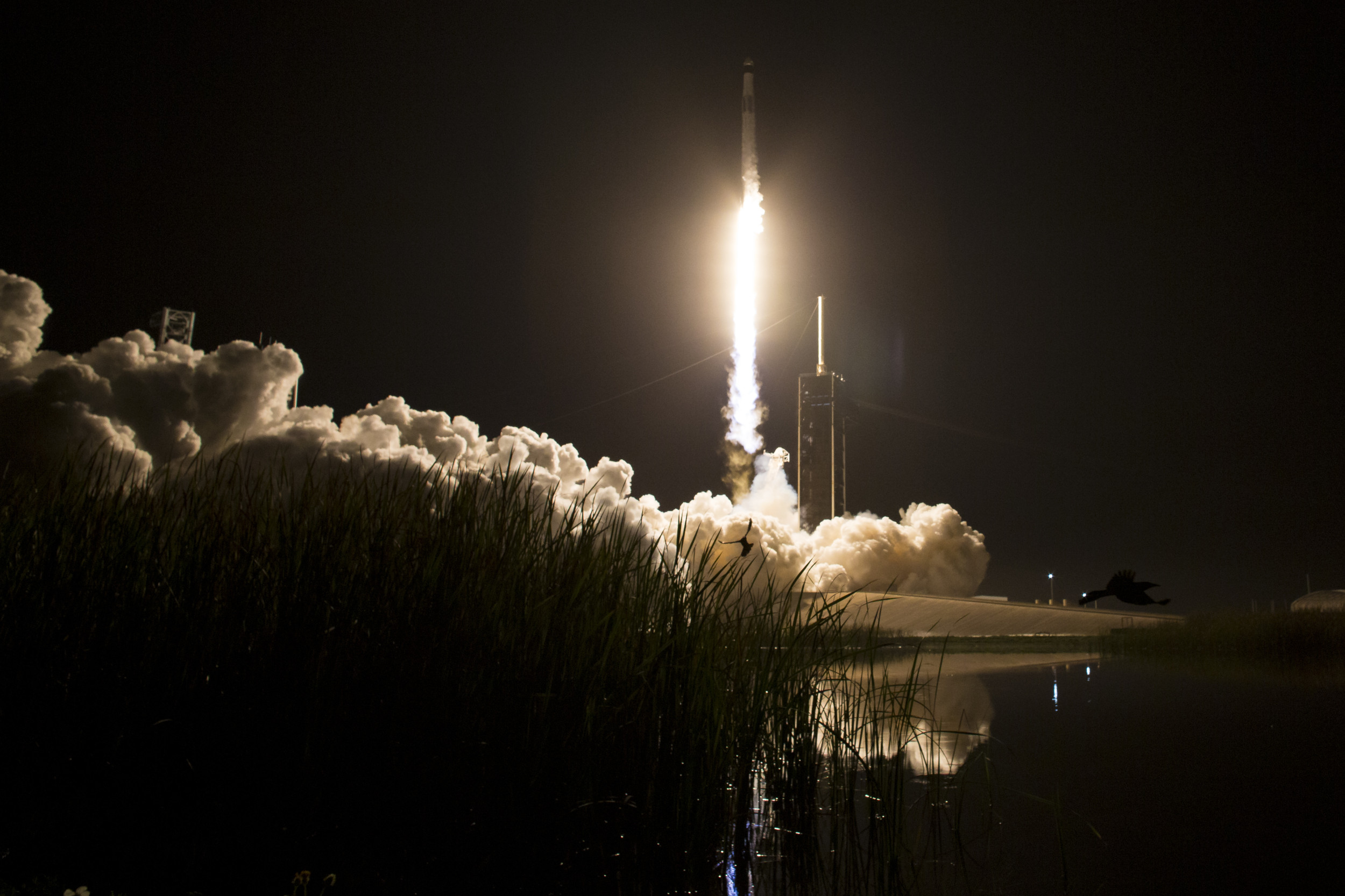 Starlink Constellation Expands: SpaceX Launches 27 Satellites Via Falcon 9