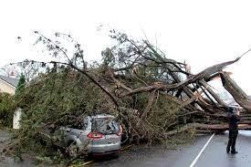 Staying Safe During Fast-Moving Storms With High Winds Staying Safe During Fast-Moving Storms With High Winds