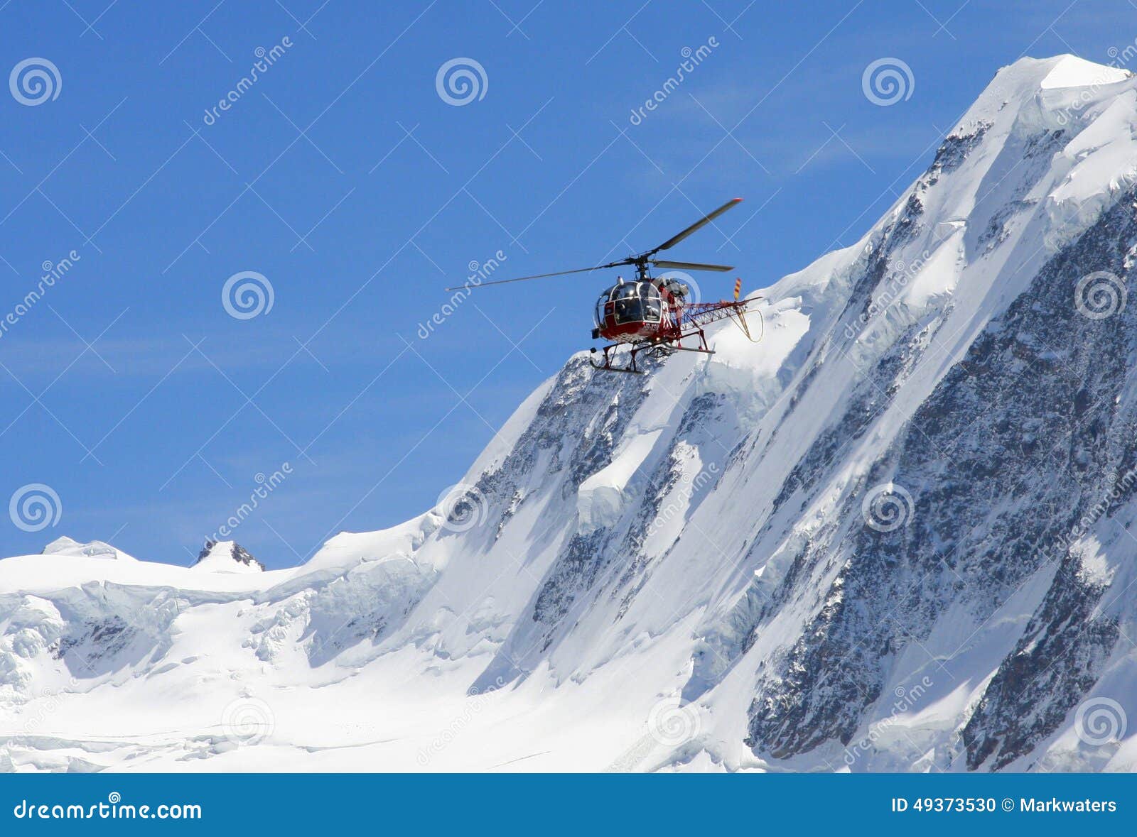 Swiss Alps Livestock Rescue: Helicopter And Ground Evacuation In Progress Swiss Alps Livestock Rescue: Helicopter And Ground Evacuation In Progress