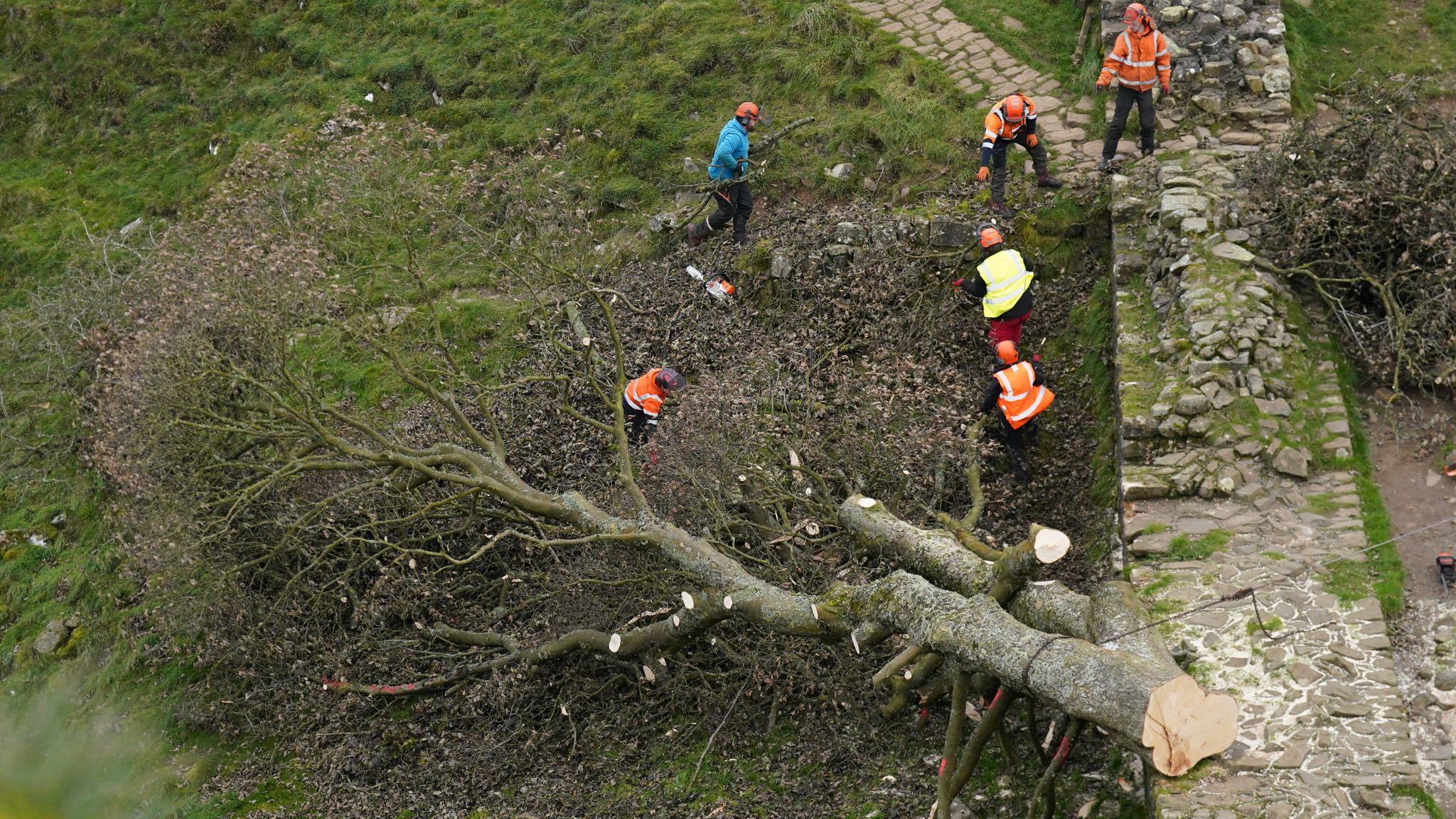 Sycamore Gap Tree Vandalism: Two Men Found Guilty Sycamore Gap Tree Vandalism: Two Men Found Guilty