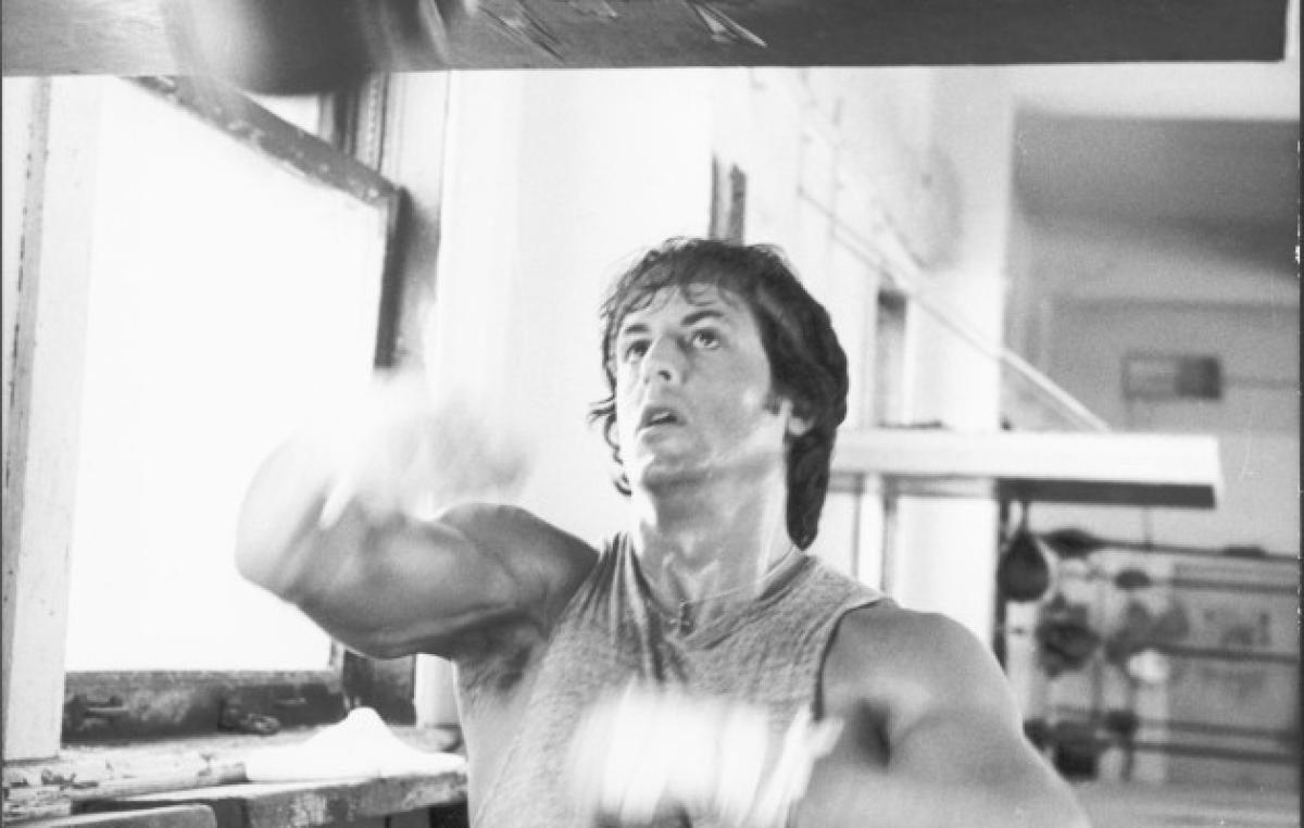 Sylvester Stallone Și Rocky: Câștigurile De-a Lungul Anilor Sylvester Stallone Și Rocky: Câștigurile De-a Lungul Anilor