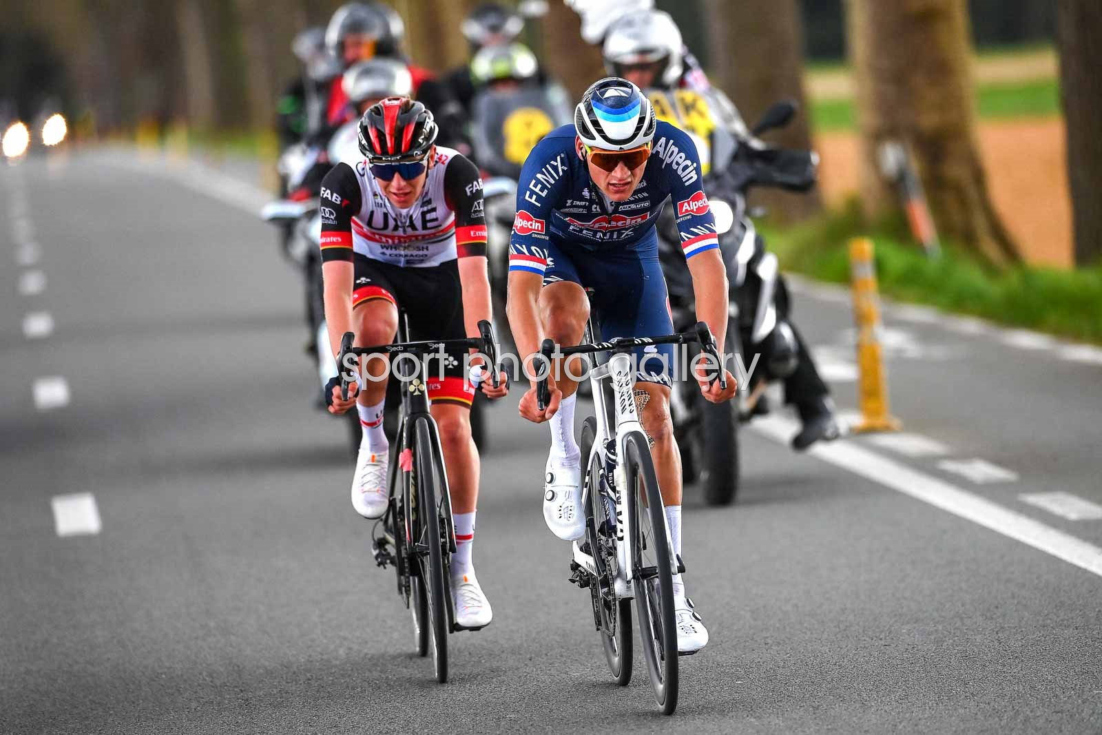 Tadej Pogačar's Stunning Ride Denies Van Der Poel's Record At Tour Of Flanders Tadej Pogačar's Stunning Ride Denies Van Der Poel's Record At Tour Of Flanders