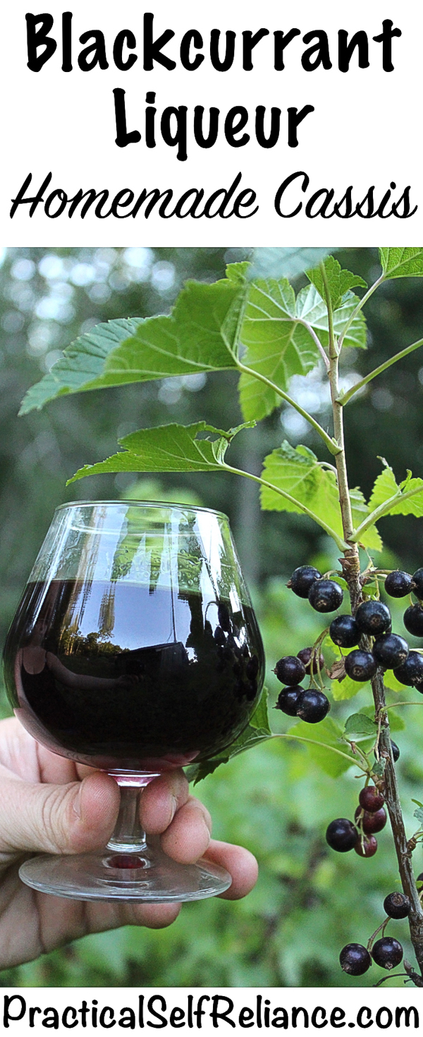 The Allure Of Cassis Blackcurrant Liqueur The Allure Of Cassis Blackcurrant Liqueur