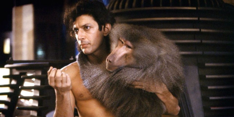 The Fly's Alternate Ending: Jeff Goldblum's Perspective The Fly's Alternate Ending: Jeff Goldblum's Perspective