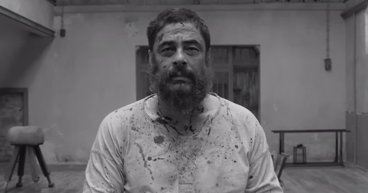 The Gift: A Comprehensive Look At The Scheme For Benicio Del Toro The Gift: A Comprehensive Look At The Scheme For Benicio Del Toro
