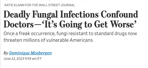 The Growing Danger Of Climate-Fueled Fungal Infections The Growing Danger Of Climate-Fueled Fungal Infections